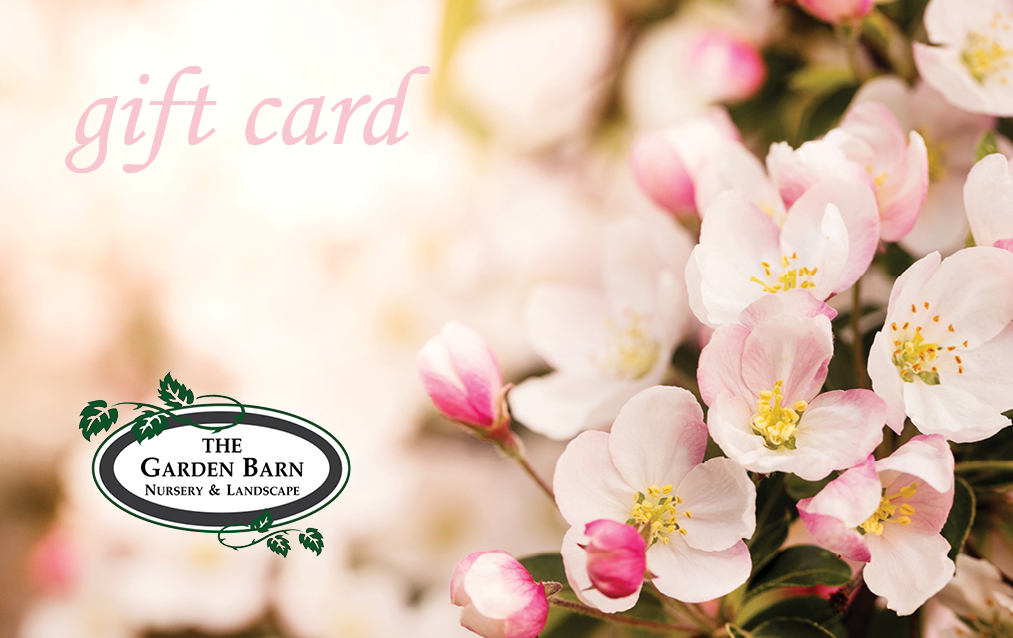Gift card garden barn